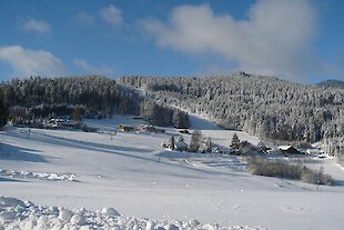 tiefverschneite Winterlandschaft im Bayerischen Wald